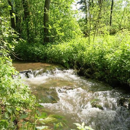 Charming Holiday Home In Malmedy With Sauna المظهر الخارجي الصورة